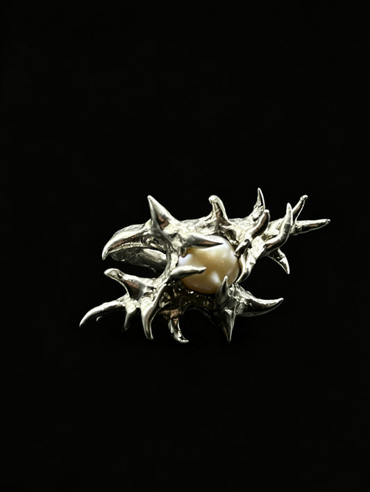 NO.6