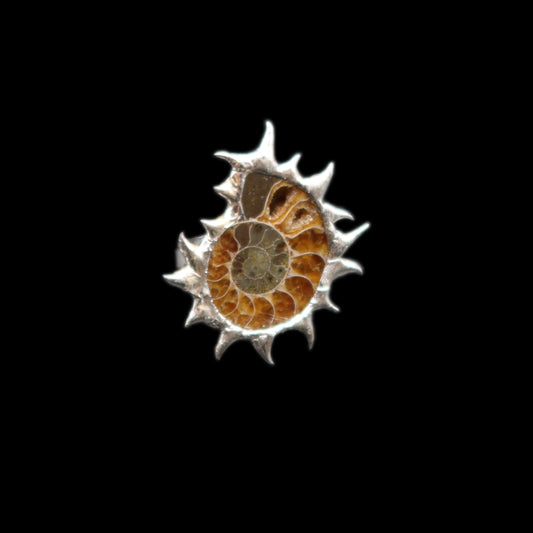 Anello