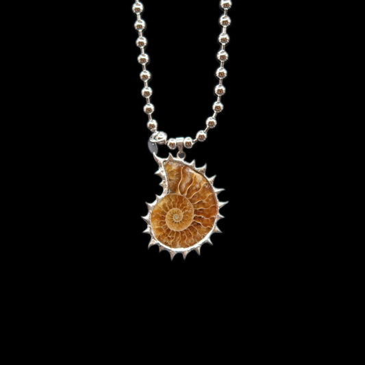 Aureus