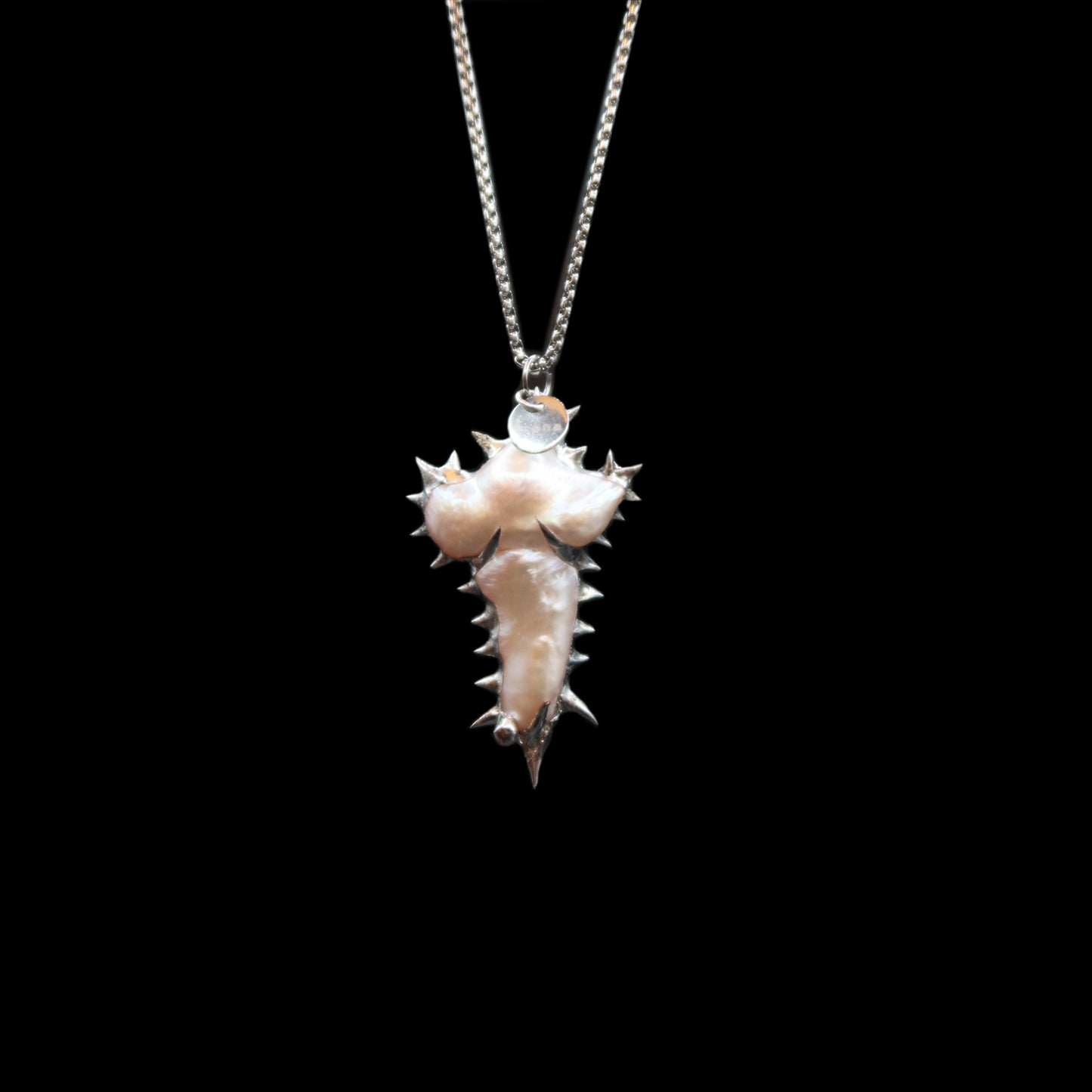 Spine n.16