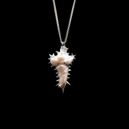 Spine n.16