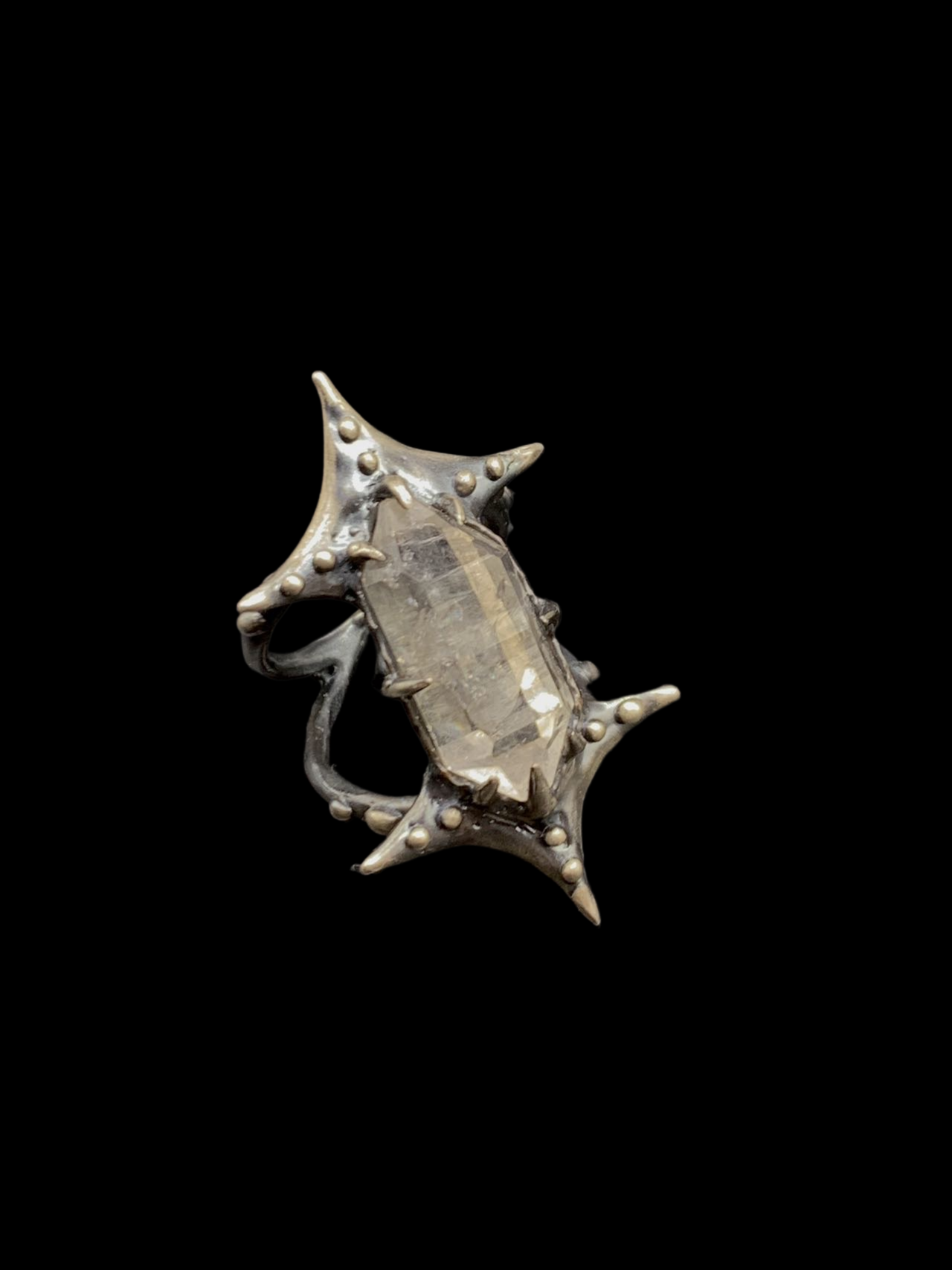 Aegis