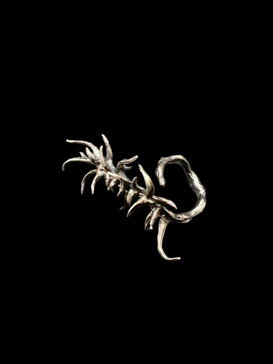 Spina